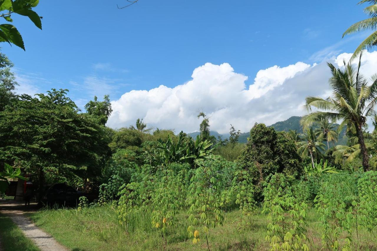 Villa Aditya Tejakula Exterior foto